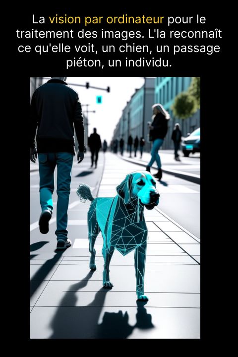  IA exemple